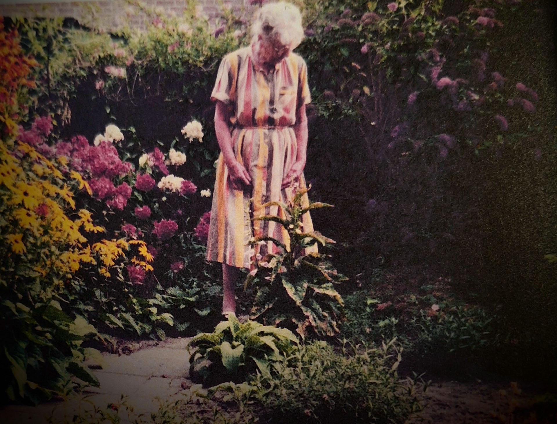 Essay: A life in the service of Spaces for one thing and another – Lotte Stam-Beese